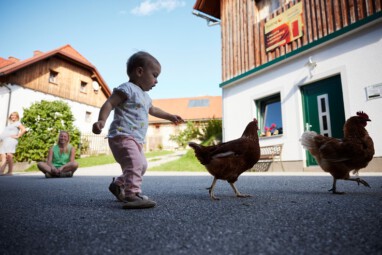 VHV Urlaub Bio Bauernhof2025 radionews