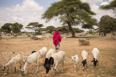 VHV HungerAfrika radionews