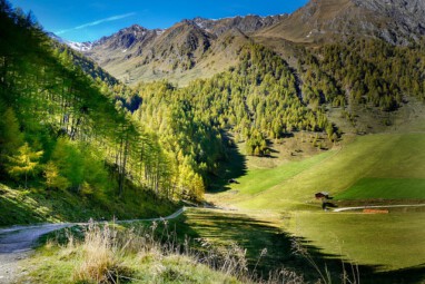 VHV Tag des Wanderns2025 radionews