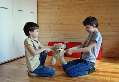VHV Kinderstreit Eingreifen oder Raushalten radionews