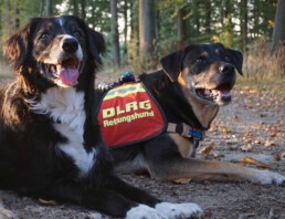 VHV Rettungshundestaffel radionews